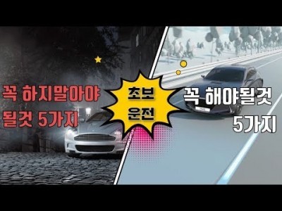 [초보운전탈출] ♥ 초보운전자가 꼭 해야될 것 5가지와 꼭 하지말아야될 것 5가지 / 미남의운전교실