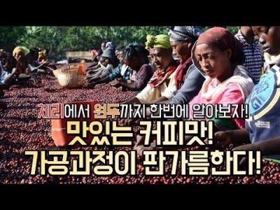 【커피TV】분명 체리였는데, 어떻게 맛있는 커피가 된 거야?!