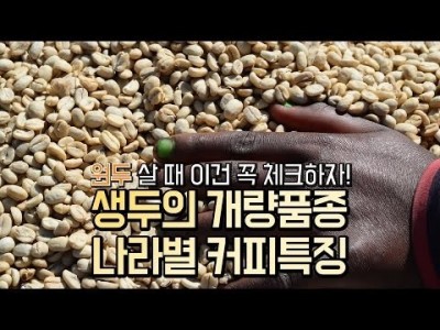 【커피TV】 원두 살 때, 품종과 나라이름을 체크하니?! 이거 필독하자!