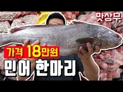 18만원짜리 거대민어 회로먹고 탕으로 먹기 민어부레 맛상무