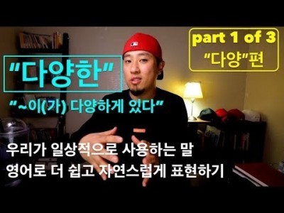 영어회화 | 표현 | "~이(가) 다양하게 있다" / "다양한 ~이(가) 있다"를 영어로 더욱 자연스럽게 표…