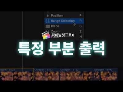 파이널컷 특정 부분만 출력하기 - Range selection