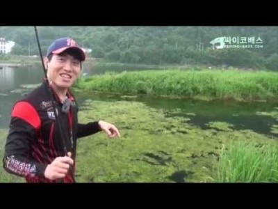 [싸이코배스] 루어낚시 강좌 구멍치기