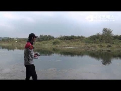 [싸이코배스] 스피너베이트 기본 운영법