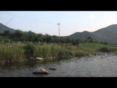 쉐이킹(shaking) 액션