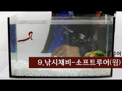 [파이어배스] 배스낚시 웜(소프트루어)에 대한 설명, 배스낚시 초보강좌 9회 [f&p]