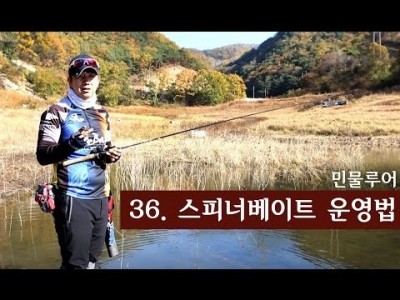 [파이어배스] 실전낚시- 스피너베이트 운영법. 배스낚시 초보강좌 36회 [피쉬앤피플]