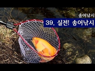 [파이어배스] 송어낚시 실전! 송어낚시 초보강좌 3편 [피쉬앤피플]