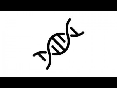 지옥에서 온 GIT : 원리 - 분석도구 gistory 소개