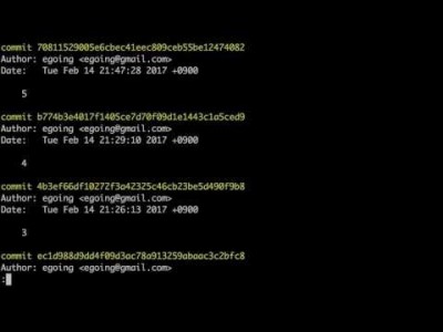 지옥에서 온 Git - branch 정보확인