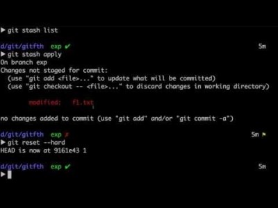 지옥에서 온 Git - stash