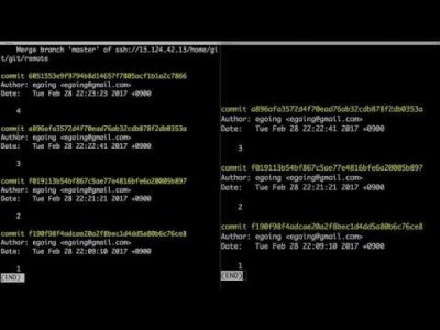 지옥에서 온 Git - push & pull (My Server)