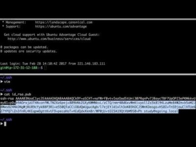 지옥에서 온 Git - 자동 로그인 (My Server)