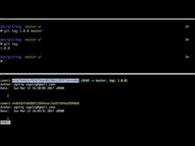 지옥에서 온 Git - 2 tag 1 (기본 사용법)