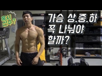 [꿀팁]가슴.상.중.하를 꼭 나눠야 할까???::가끔은 심플한것이 좋을때가 있다.