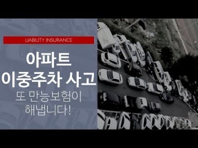 일상생활배상책임: 이중주차 사례