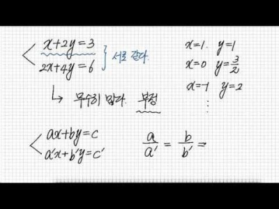 연립일차방정식