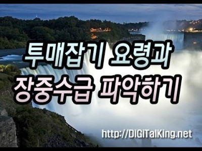 [주식] 투매 잡기요령과 장중수급 파악하기(신고가 종목 공략법)