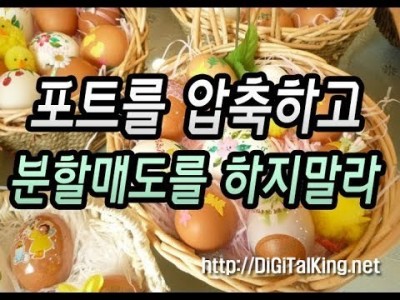 [주식] 분할매도를 하지 말아라(포트를 압축하여 계란을 한 바구니에 담아라)