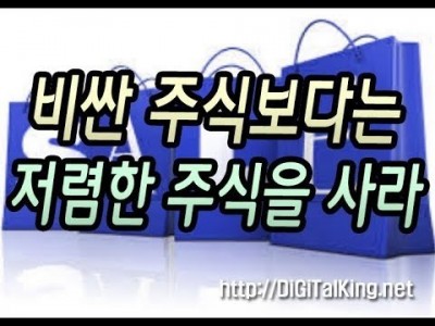 [주식] 비싼 주식만이 정답이 아니다(같은 값이면 좀 더 저렴한 주식을 구입하라)